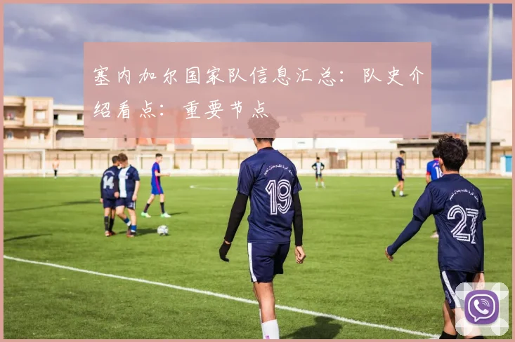 塞内加尔国家队信息汇总:队史介绍看点:重要节点
