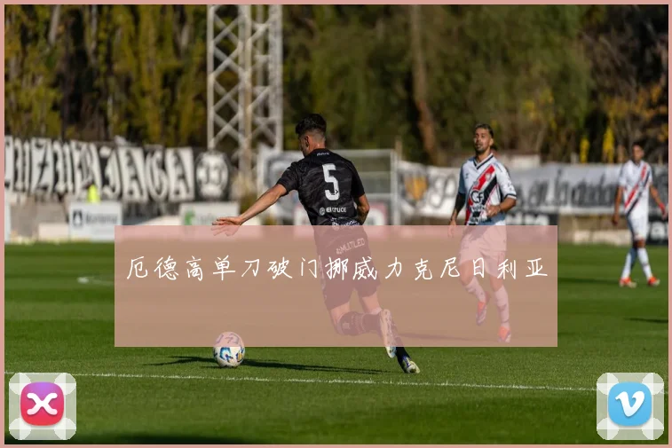 厄德高单刀破门挪威力克尼日利亚