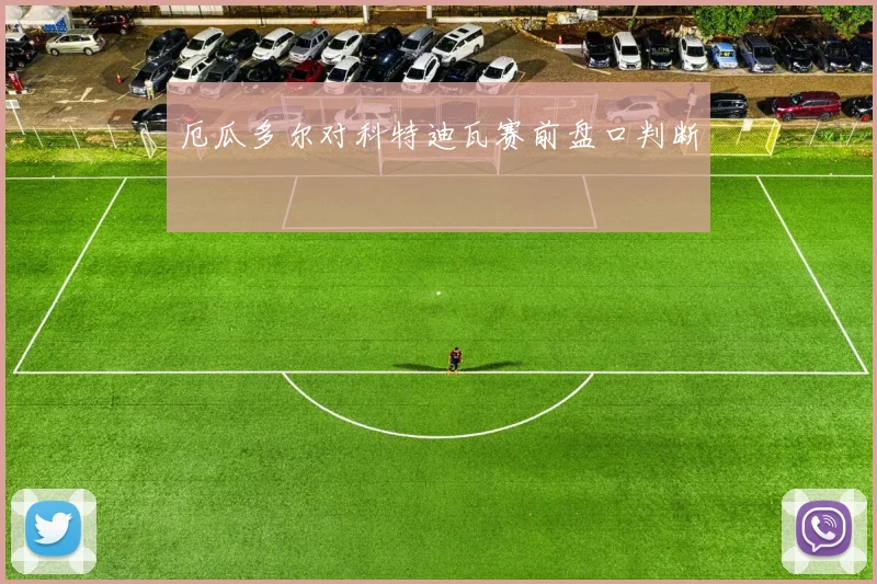 厄瓜多尔对科特迪瓦赛前盘口判断