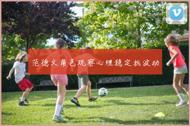 范德文角色观察心理稳定抗波动