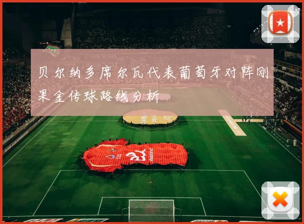 贝尔纳多席尔瓦代表葡萄牙对阵刚果金传球路线分析