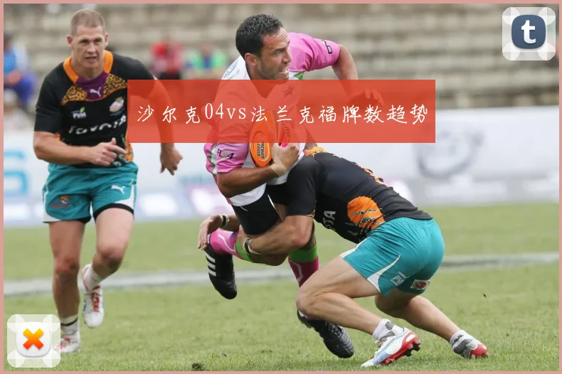 沙尔克04vs法兰克福牌数趋势