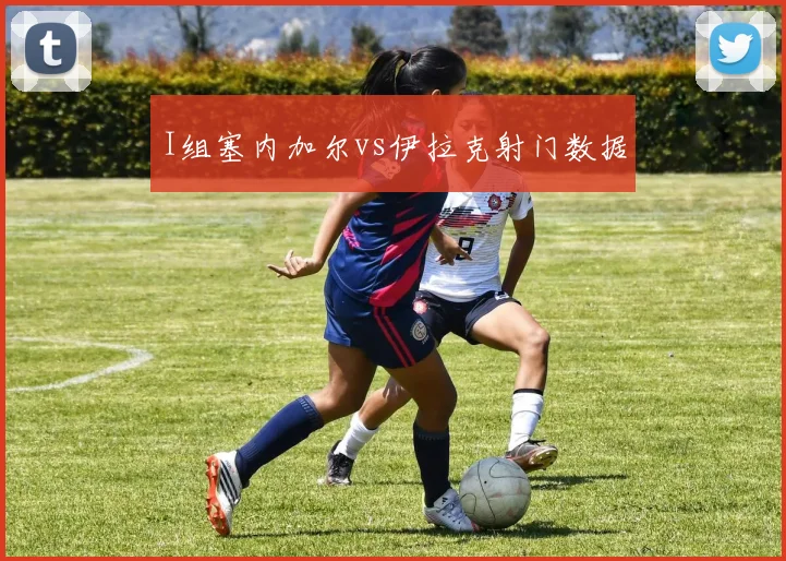 I组塞内加尔vs伊拉克射门数据
